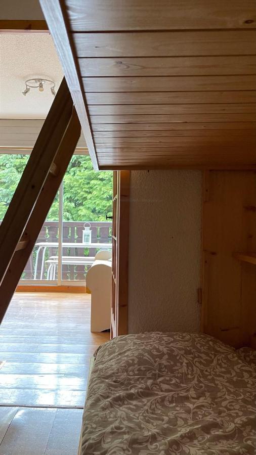 Cosy Studio On The Slopes And Centre Of Chamonix Buitenkant foto