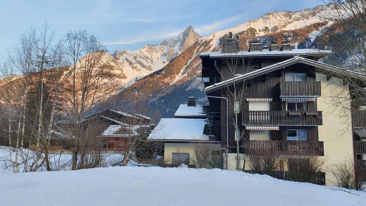 Cosy Flat On The Slopes And Centre Of Chamonix Appartement Buitenkant foto