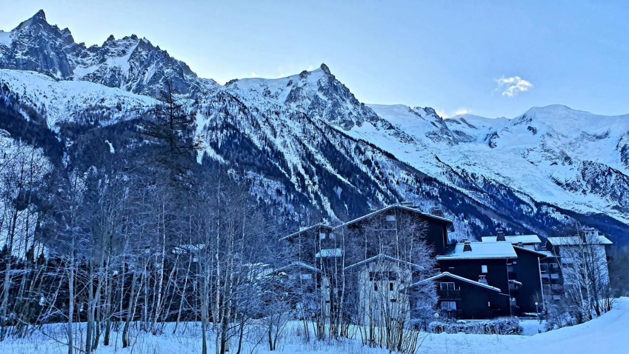 Cosy Flat On The Slopes And Centre Of Chamonix Appartement Buitenkant foto